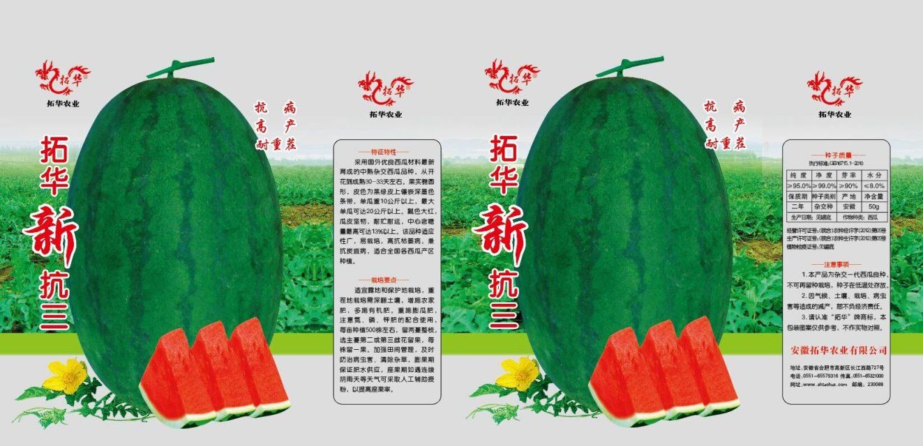 拓華新抗三